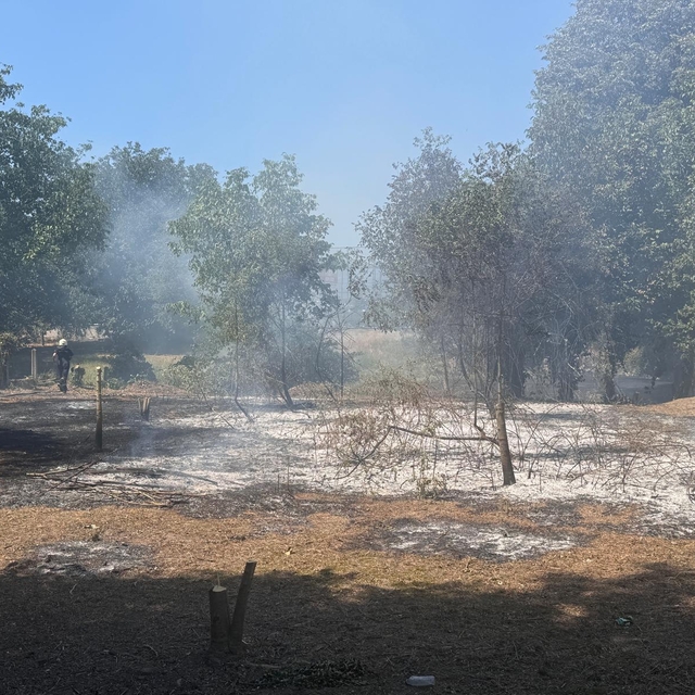 Düzce'de otluk alanda çıkan yangın söndürüldü