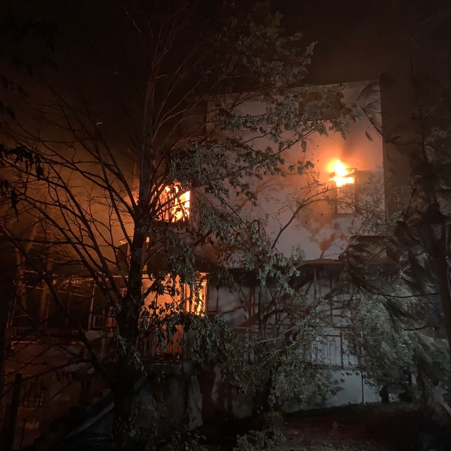 Çanakkale'de orman yangını (12)