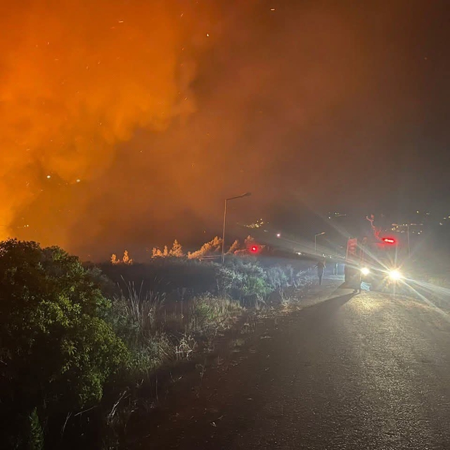 Hatay'da orman yangını (2)