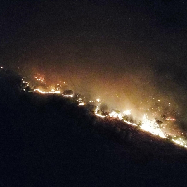 Edirne'de orman yangını (4)