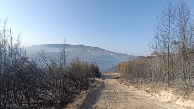 Hatay'daki orman yangını, 16,5 saat sonra kontrol altına alındı