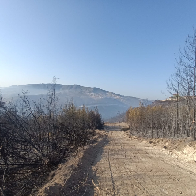 Hatay'daki orman yangını, 16,5 saat sonra kontrol altına alındı