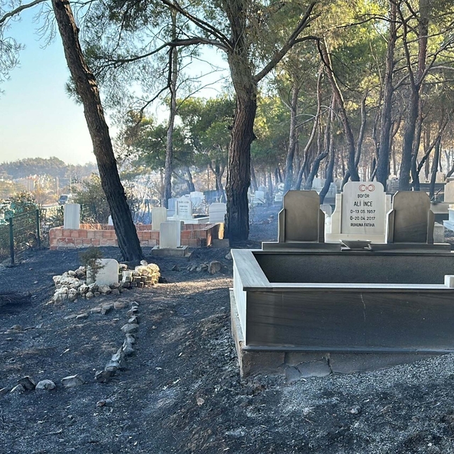 Çanakkale'de orman yangını 2'nci gününde (3)