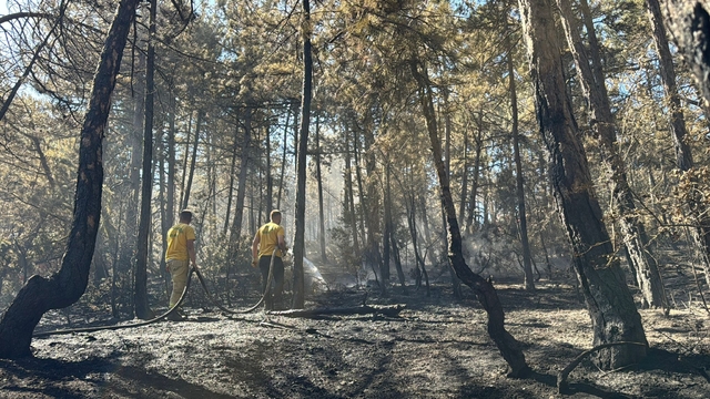 Bolu'da çıkan orman yangını kısmen kontrol altına alındı