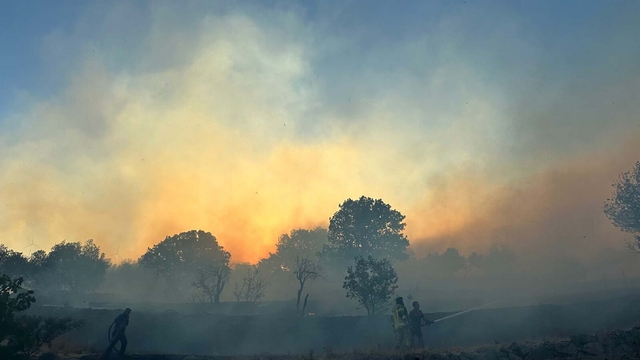 İzmir'de ot yangını; bazı evler zarar gördü