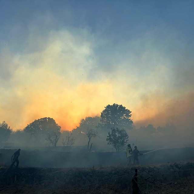 İzmir'de ot yangını; bazı evler zarar gördü