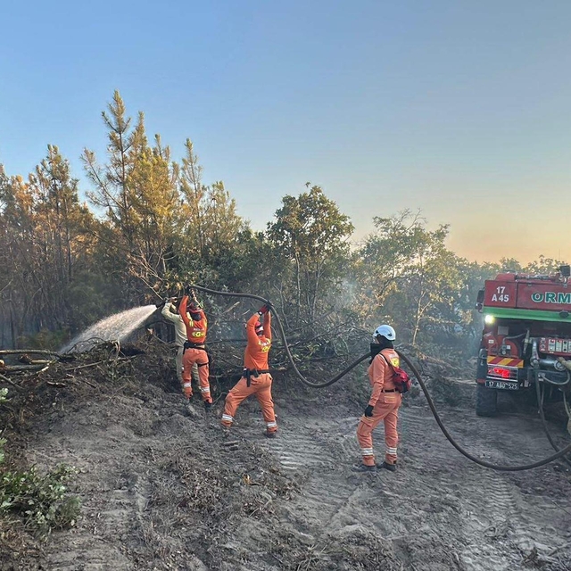 Edirne'deki orman yangını 16 saatte kontrol altına alındı