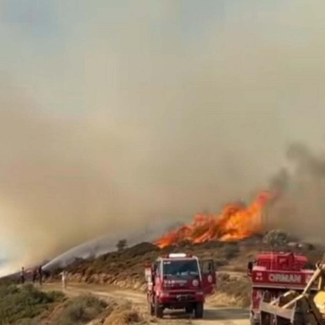 İzmir'de orman yangını