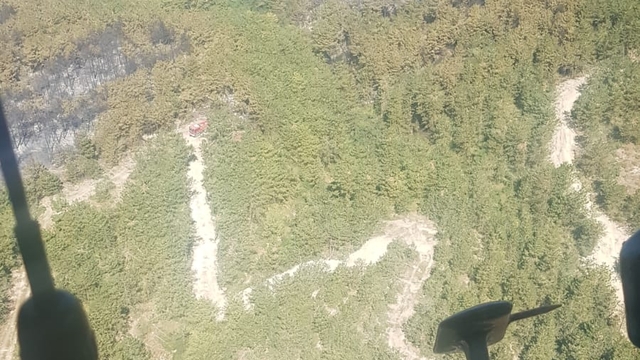 Bolu'da orman yangını kontrol altında; 2 gözaltı