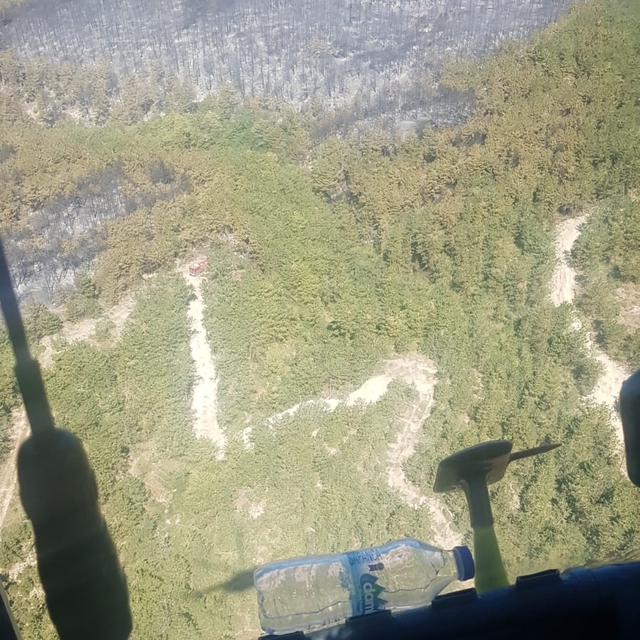 Bolu'da orman yangını kontrol altında; 2 gözaltı