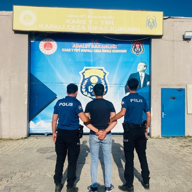 Kars Kalesi eteklerindeki yangına ilişkin 1 tutuklama