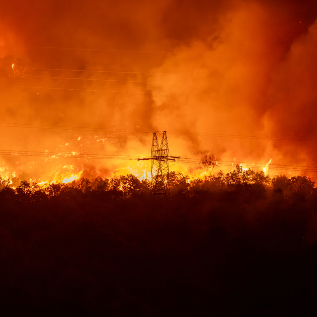 Karadağ'dan orman yangınlarına müdahale için uluslararası yardım talebi
