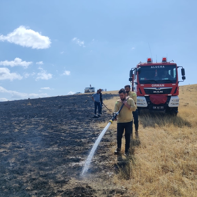 Giresun'da çıkan örtü yangını söndürüldü