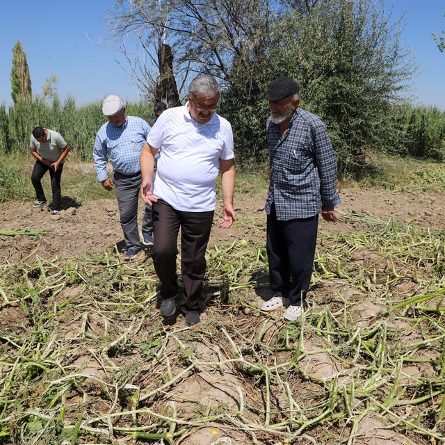 Afyonkarahisar'da doludan etkilenen tarım arazilerinde inceleme yapıldı