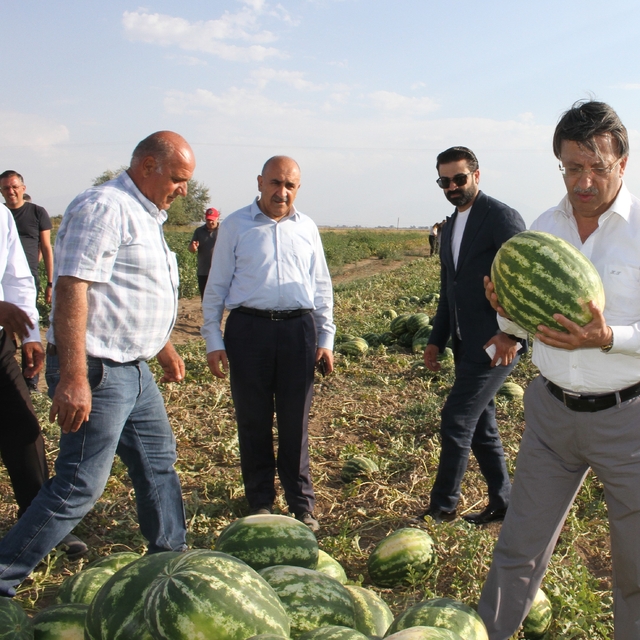 AK Parti Van Milletvekili Türkmenoğlu çiftçileri ziyaret etti