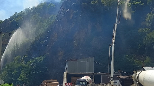 Gümüşhane'de çıkan örtü yangınına müdahale ediliyor