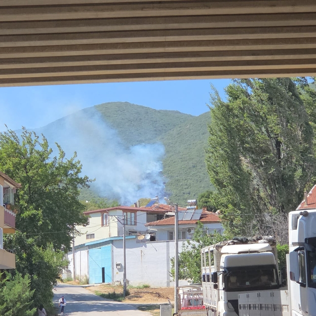 Bursa'da maki yangını