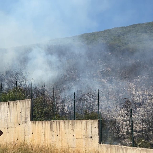 Bursa'da makilik alanda çıkan yangın söndürüldü
