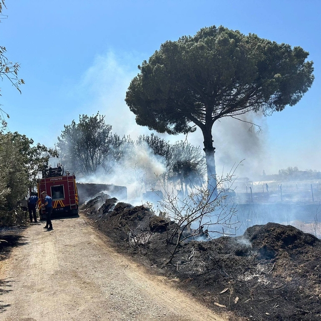 Balıkesir'de çıkan yangın havadan ve karadan müdahaleyle söndürüldü