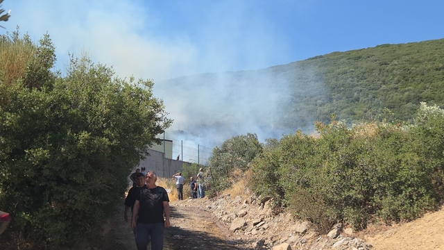 Bursa'da maki yangını (2)