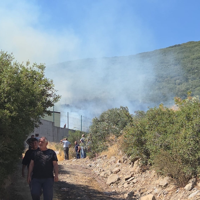 Bursa'da maki yangını (2)