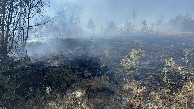 Bolu'da yerleşim yeri yakınında orman yangını