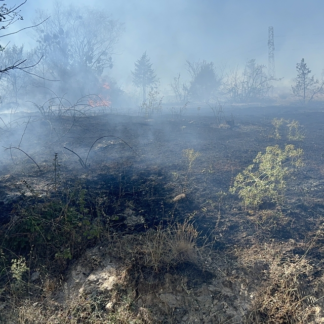 Bolu'da yerleşim yeri yakınında orman yangını