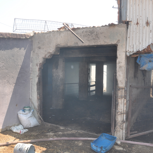 Kırklareli'nde ağaçlık alanda çıkan yangın söndürüldü