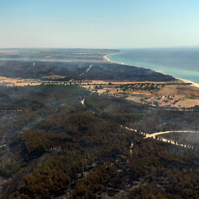 Edirne'deki orman yangını 16 saatte kontrol altına alındı (2)