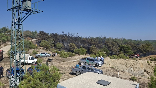 Adana'da çıkan orman yangını kontrol altına alındı