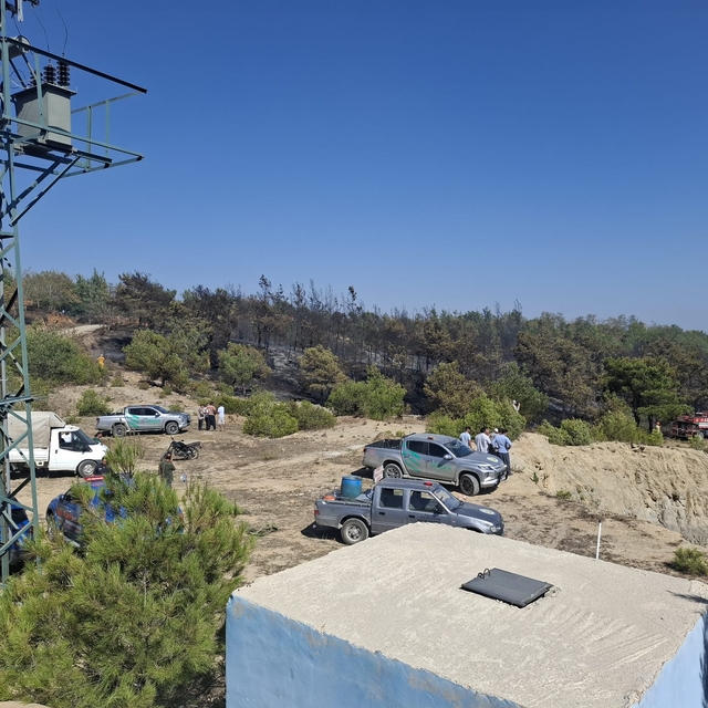 Adana'da çıkan orman yangını kontrol altına alındı