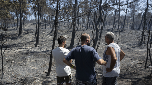 Çanakkale'deki orman yangınında alevler içinde kalan site sakinleri o anları anlattı