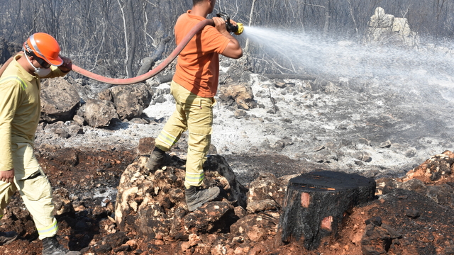 GÜNCELLEME - Antalya'da orman yakınında çıkan yangın kontrol altına alındı