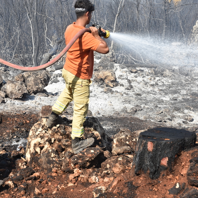 GÜNCELLEME - Antalya'da orman yakınında çıkan yangın kontrol altına alındı