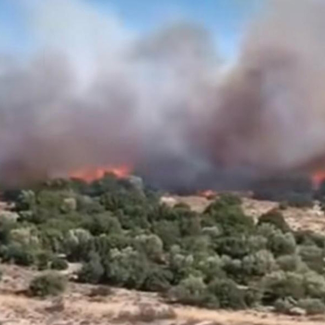 İzmir'de makilik yangını