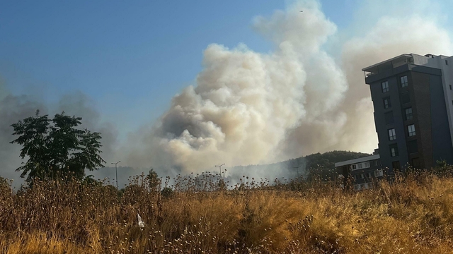 İzmir'de minibüste çıkan yangın ormana sıçradı