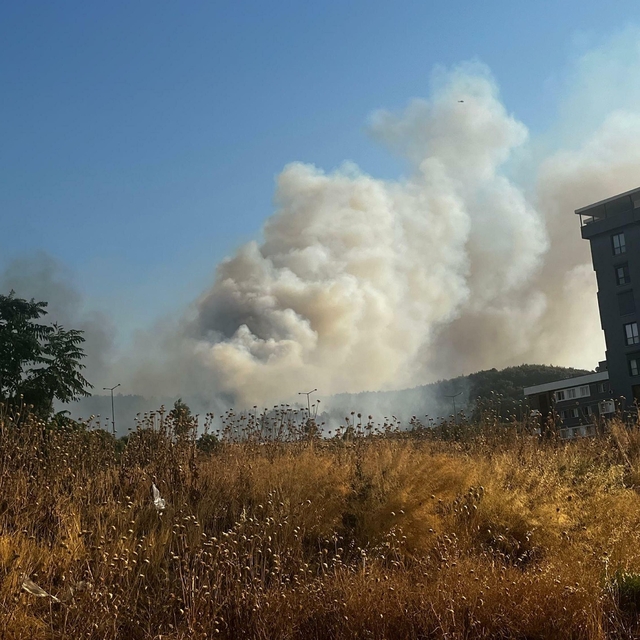 İzmir'de minibüste çıkan yangın ormana sıçradı