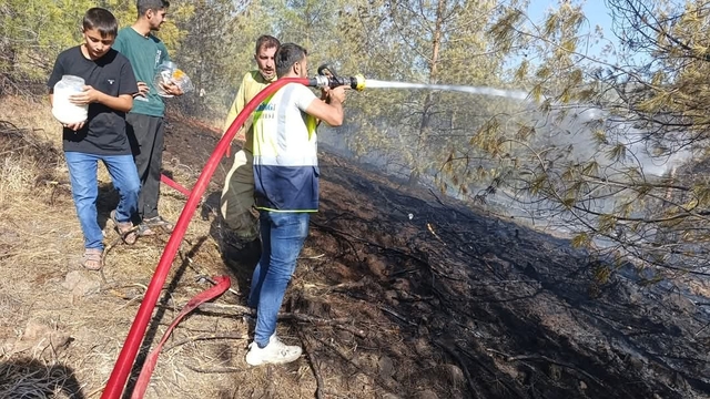 Gaziantep'te çıkan orman yangını kontrol altına alındı