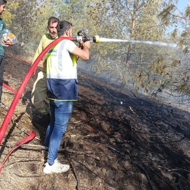 Gaziantep'te çıkan orman yangını kontrol altına alındı