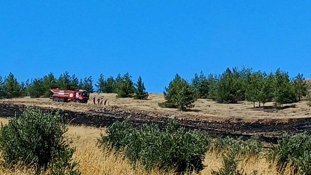 Gaziantep'te orman yangını 2 saatlik çalışmayla söndürüldü