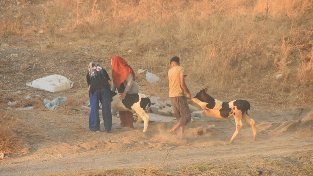 İzmir'de minibüste çıkan yangın ormana da sıçradı (3)