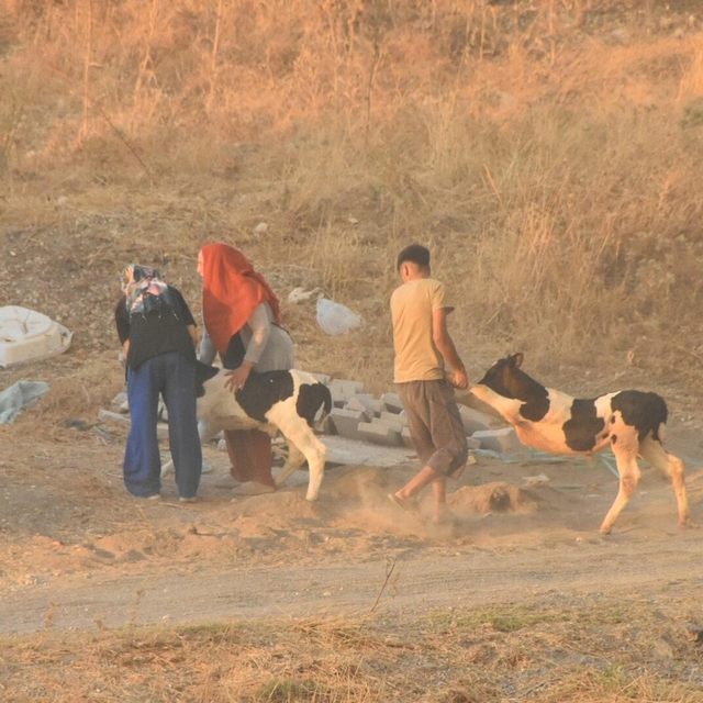 İzmir'de minibüste çıkan yangın ormana da sıçradı (3)