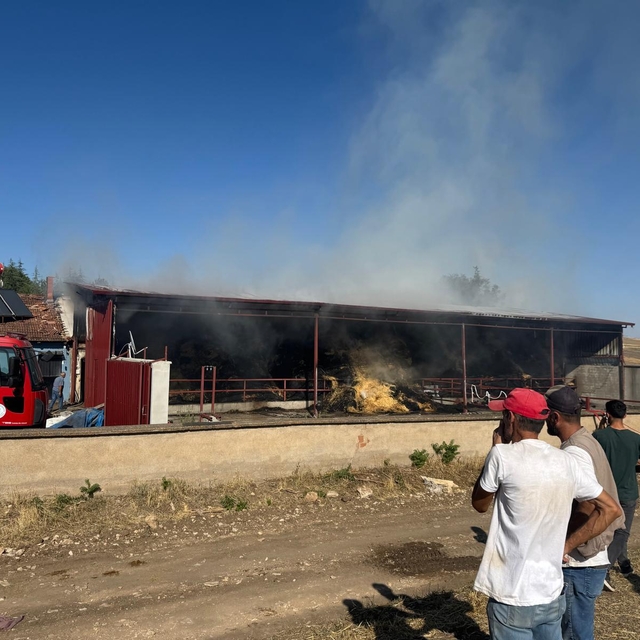 Sandıklı'da samanlıkta çıkan yangın söndürüldü