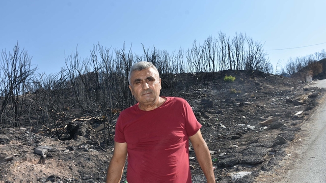 İzmir'de yerleşim yerleri çevresinde yanan alanlar havadan görüntülendi (3)