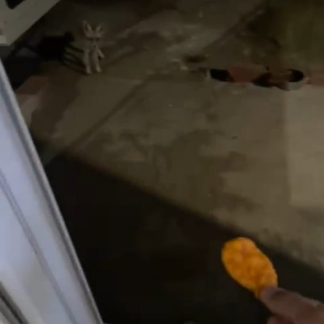 'Rıfkı' adını verdiği tilkiyi cips ile besliyor