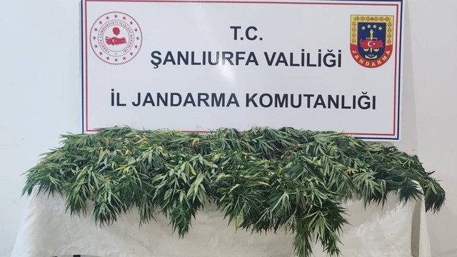 Şanlıurfa'da uyuşturucu operasyonunda 2 şüpheli yakalandı