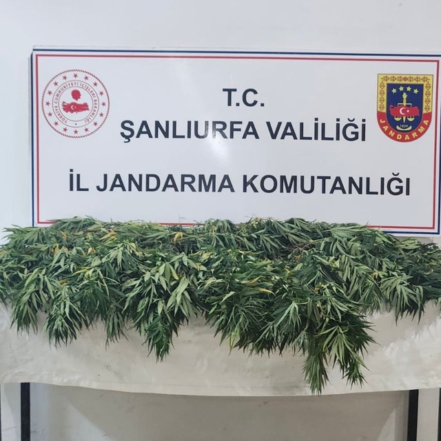 Şanlıurfa'da uyuşturucu operasyonunda 2 şüpheli yakalandı