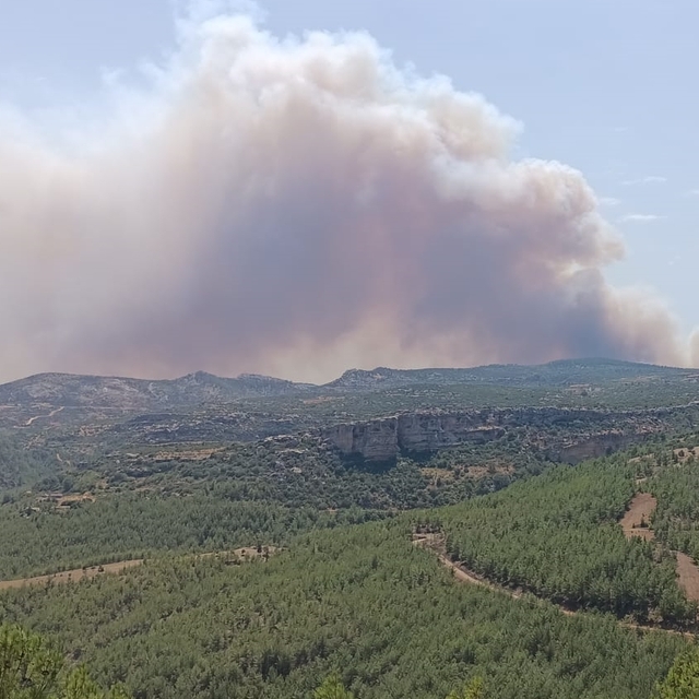 Mersin'de ormanlık alanda yangın çıktı