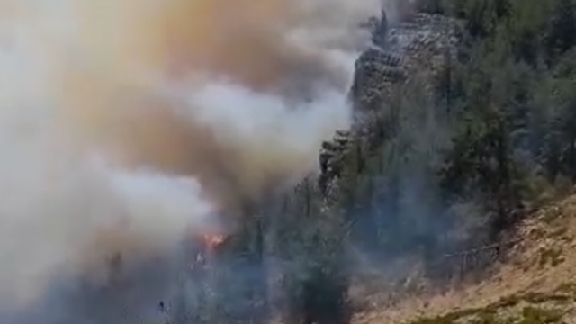 Mersin'de 3 ayrı noktada orman yangını