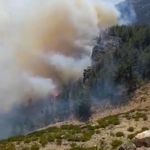 Mersin'de 3 ayrı noktada orman yangını